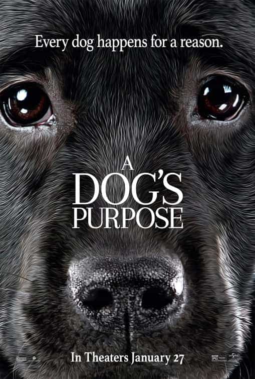 A Dogs Purpose