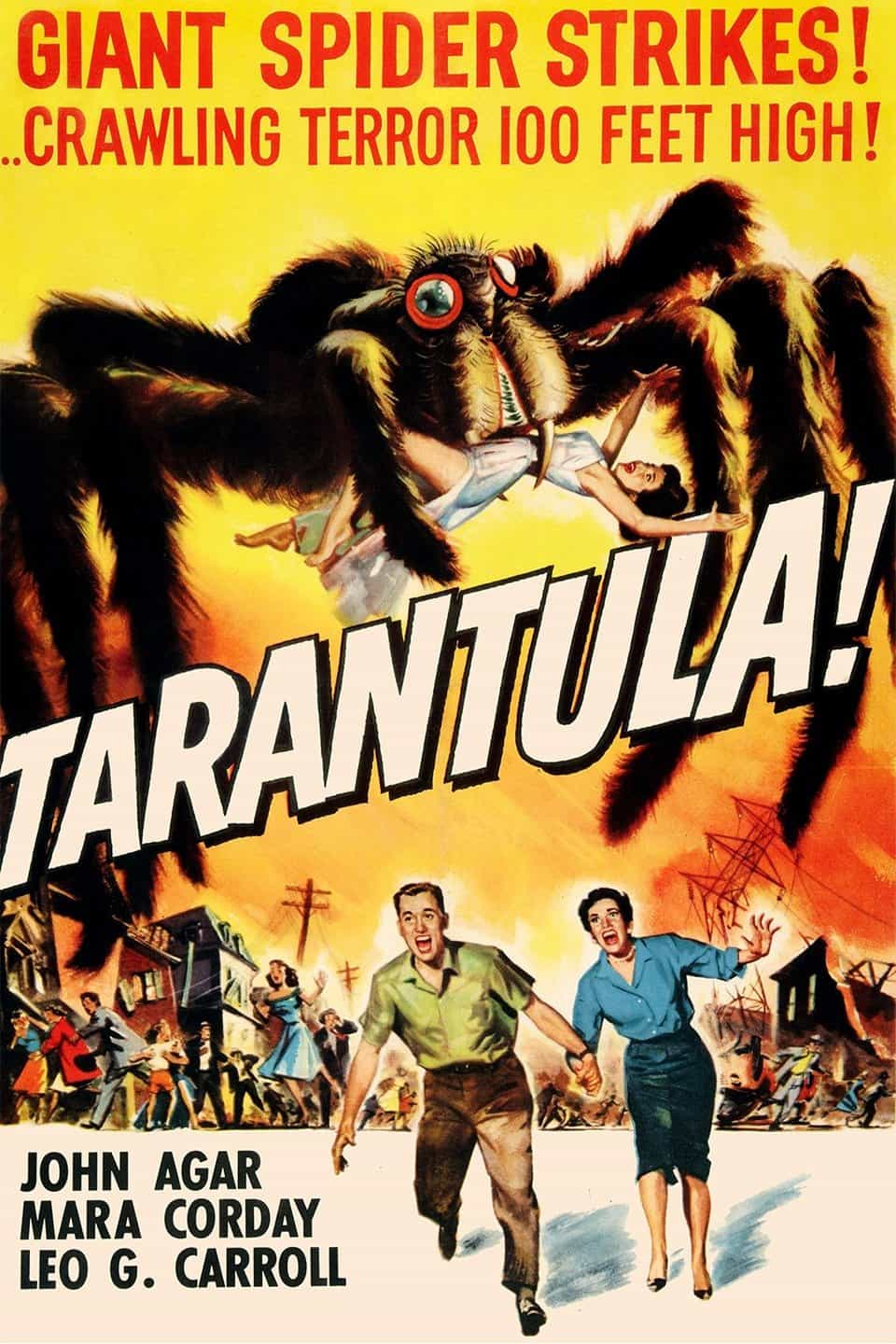 Tarantula