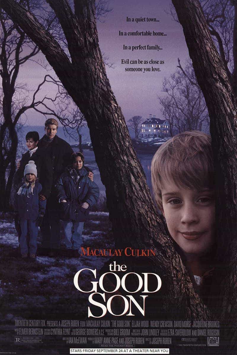 The Good Son