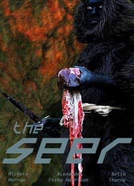 The Seer